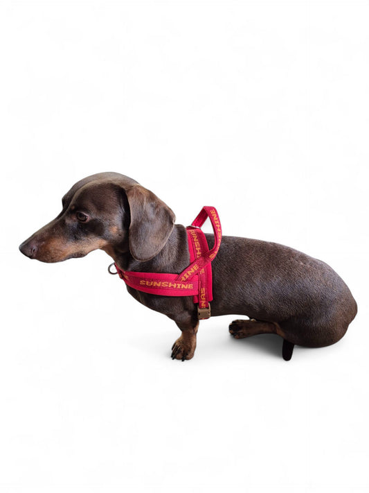 Borsttuig sunshine autumn edition, in verschillende kleuren