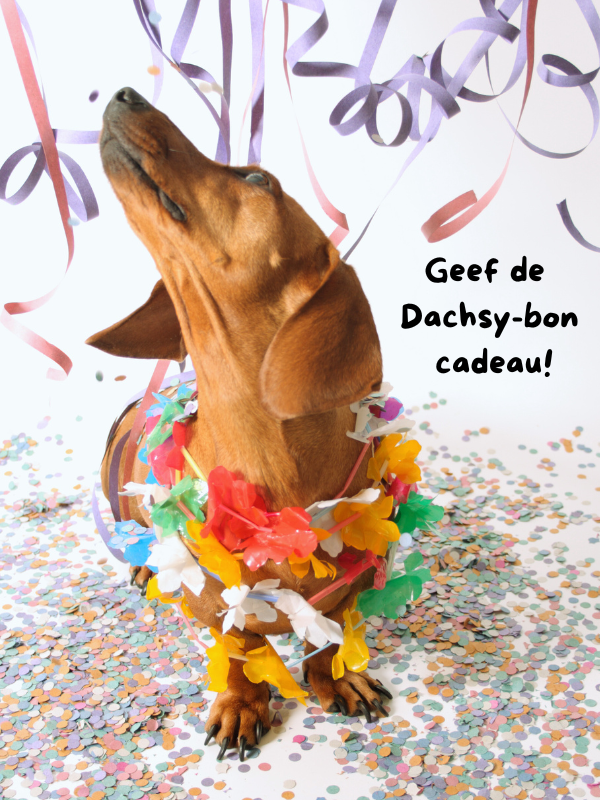 Dachsystore cadeaubon