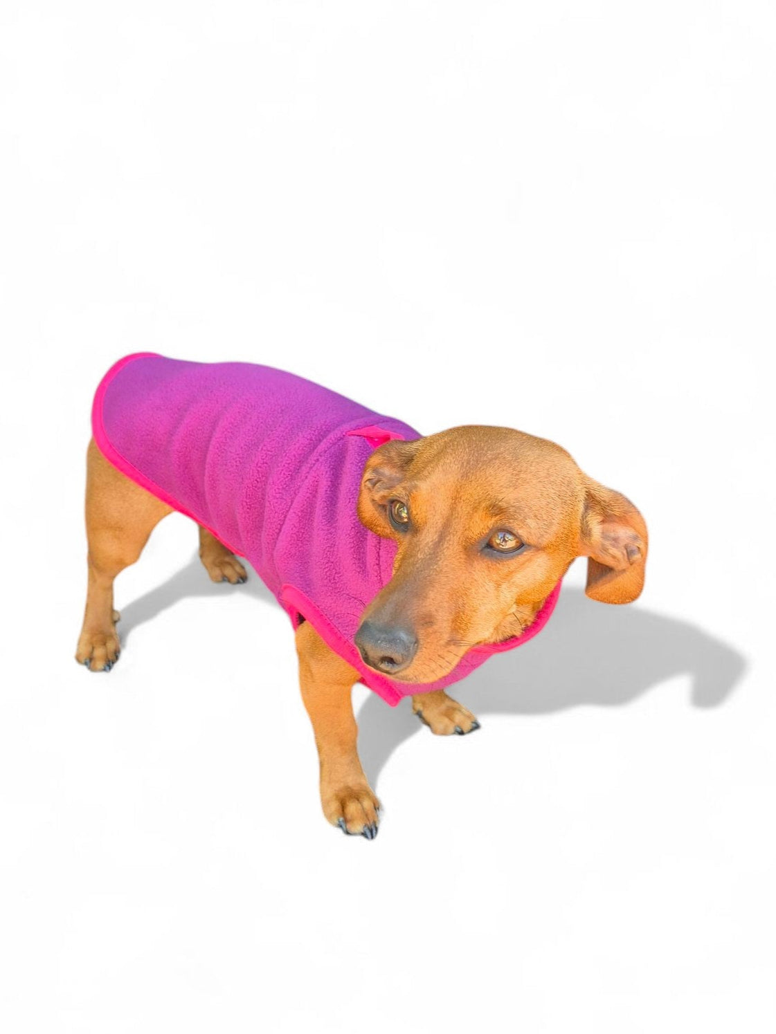 Teckel fleece sweater