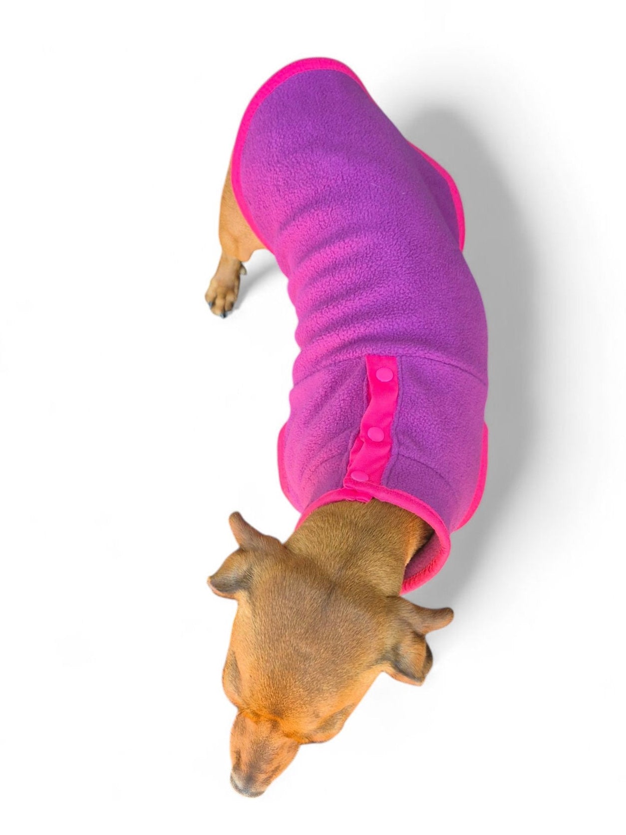 Teckel fleece sweater