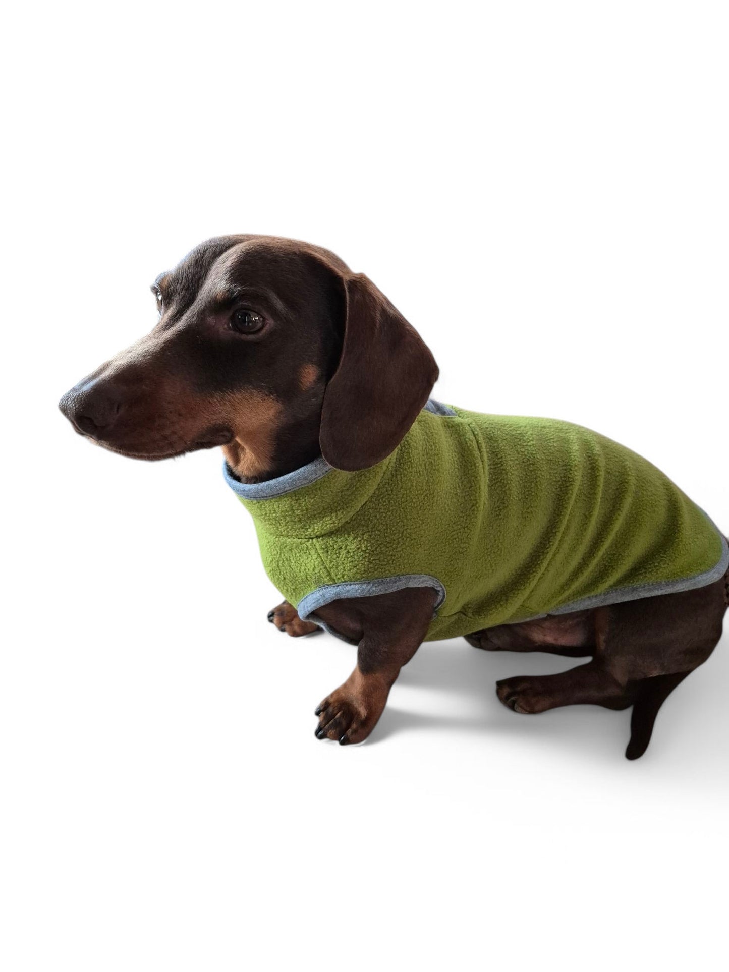 Teckel fleece sweater