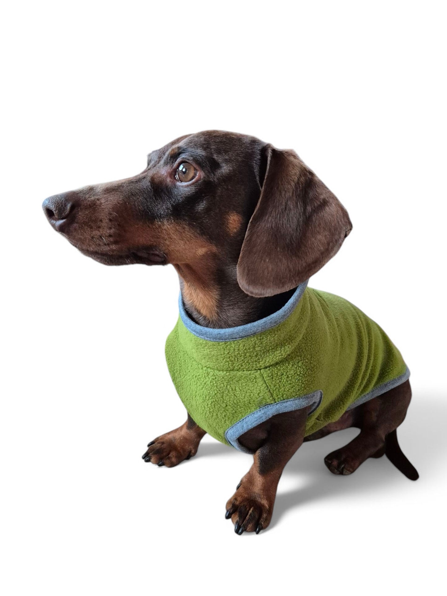 Teckel fleece sweater