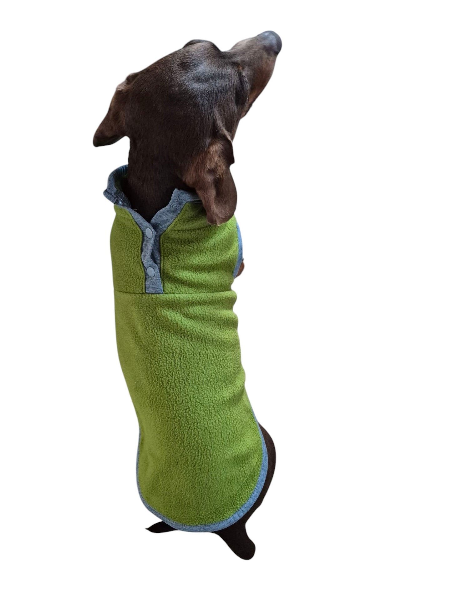 Teckel fleece sweater