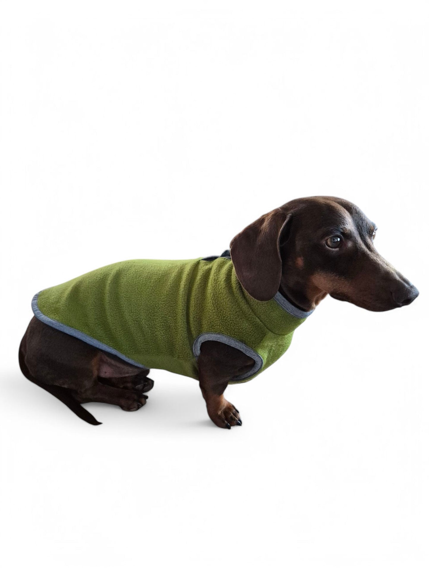 Teckel fleece sweater