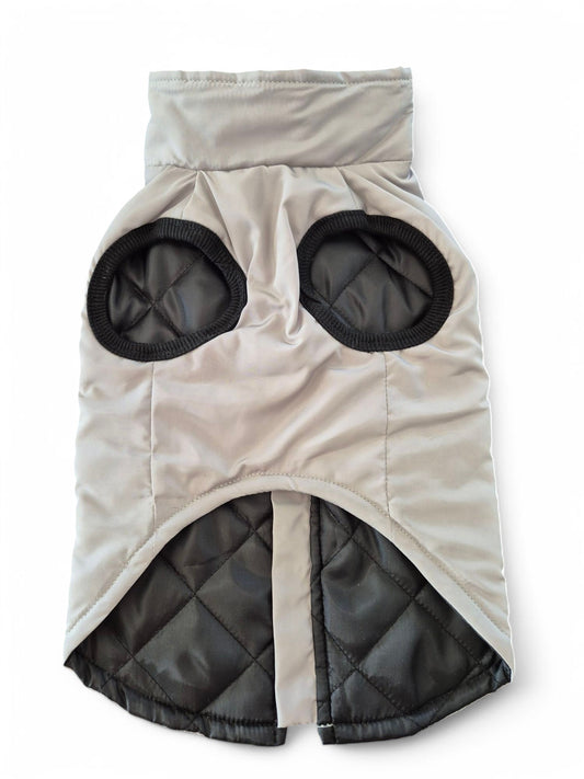 Tussenjas voor je teckel