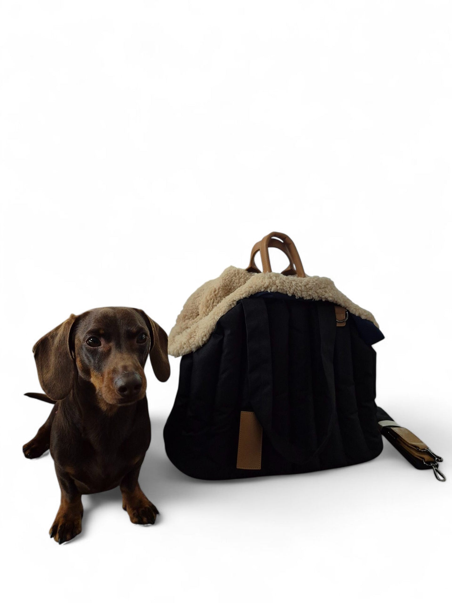 Handige honden draagtas