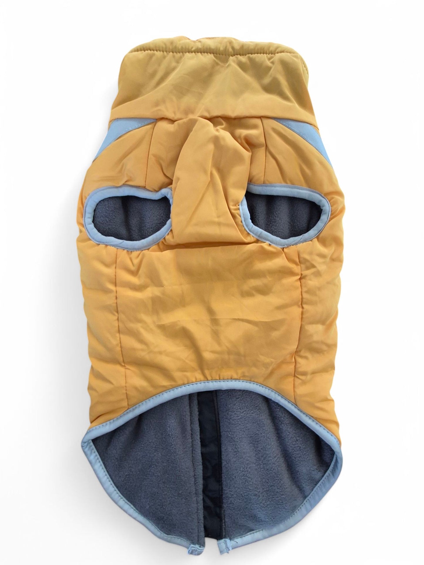 Mooie winterjas voor de standaard teckel