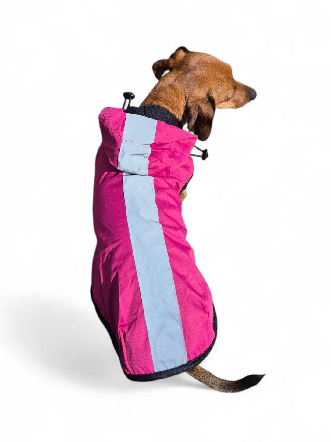 Teckel regenjas met capuchon