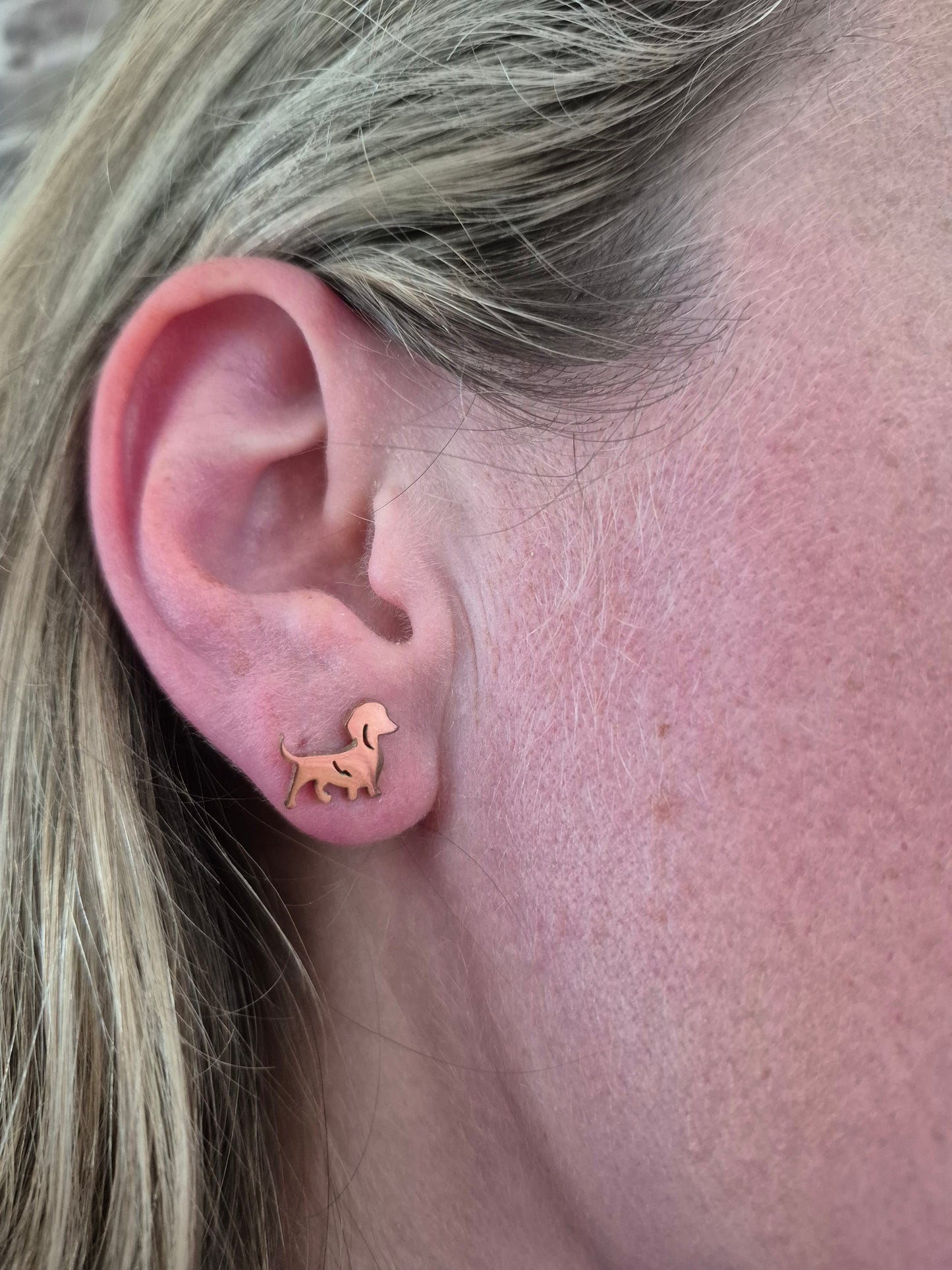 Oorstekers (rvs) met trotse teckel roségoud