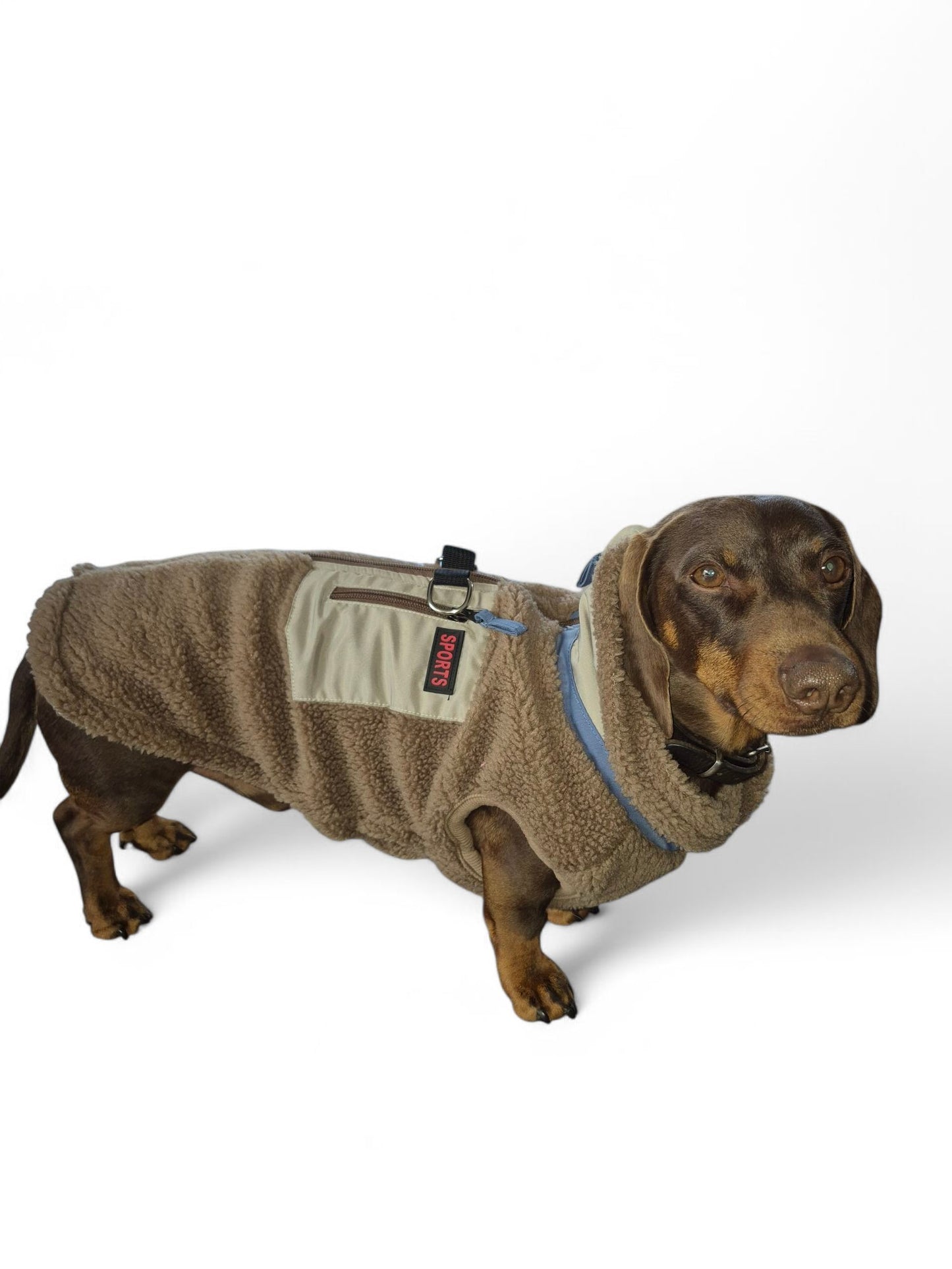Heerlijk warm teddy hondenjack