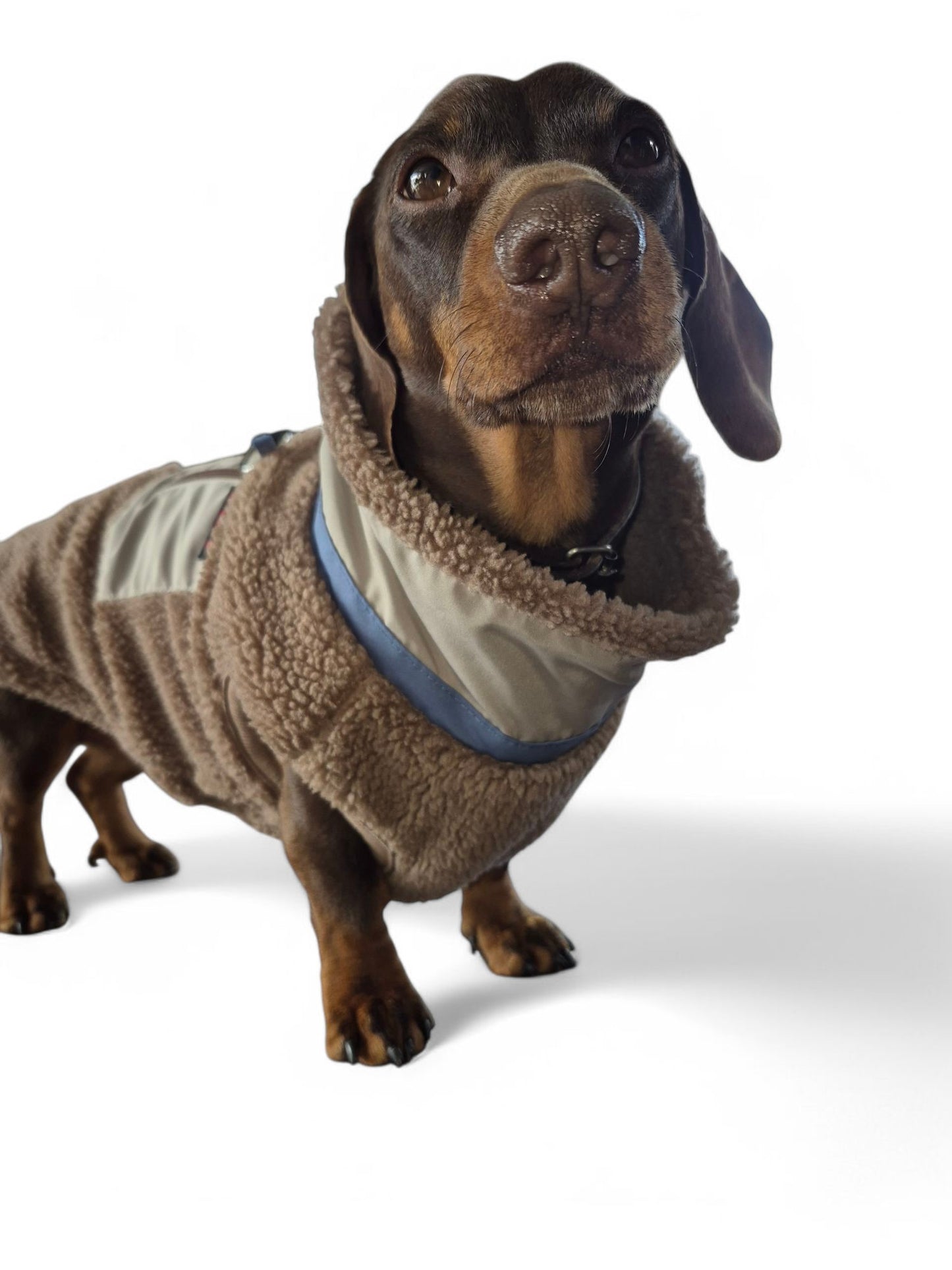 Heerlijk warm teddy hondenjack