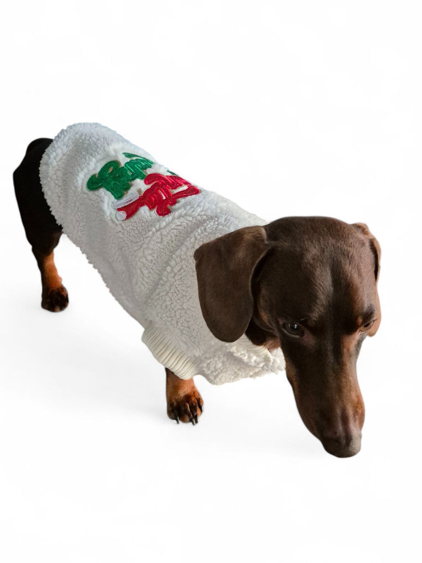 Kerstjasje voor je teckel ´Santa Baby´