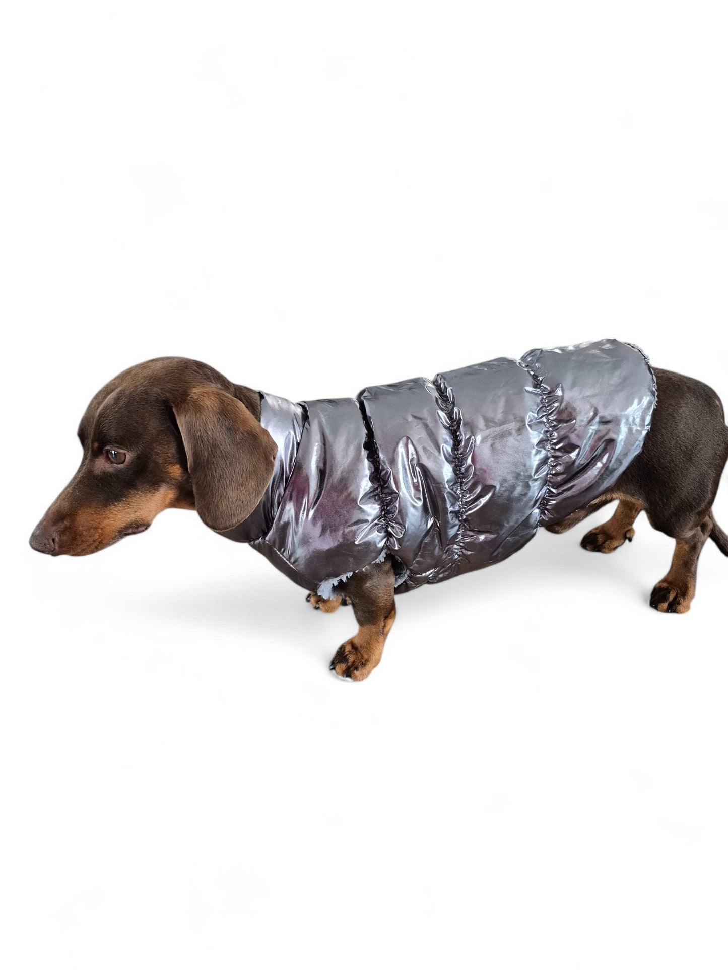 Flitsende winterjas voor je teckel