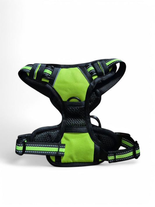 Stevig Y-tuig in verschillende kleuren en verschillende maten