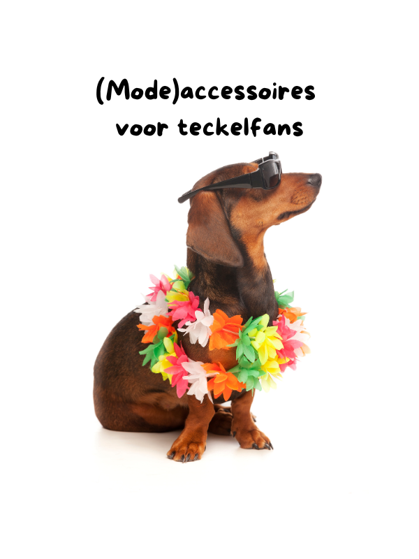 Alle (mode)accessoires