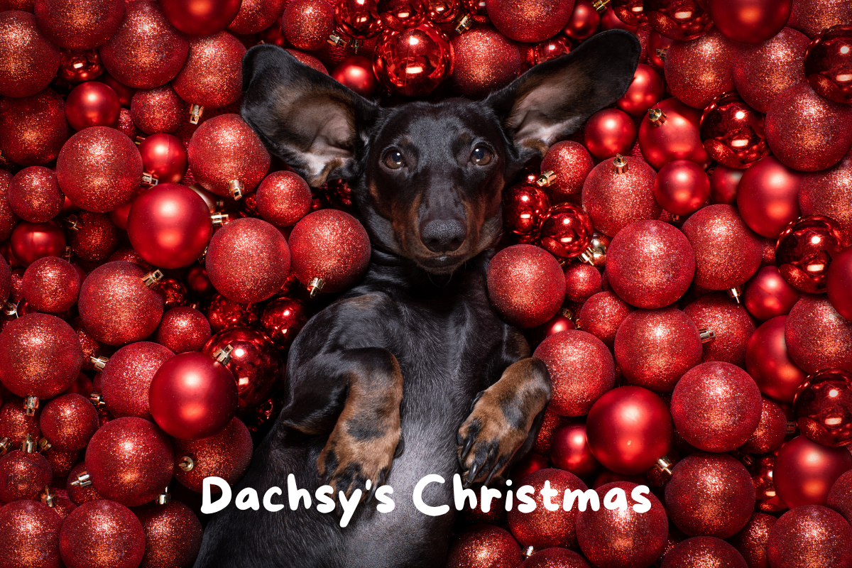 Christmas collection