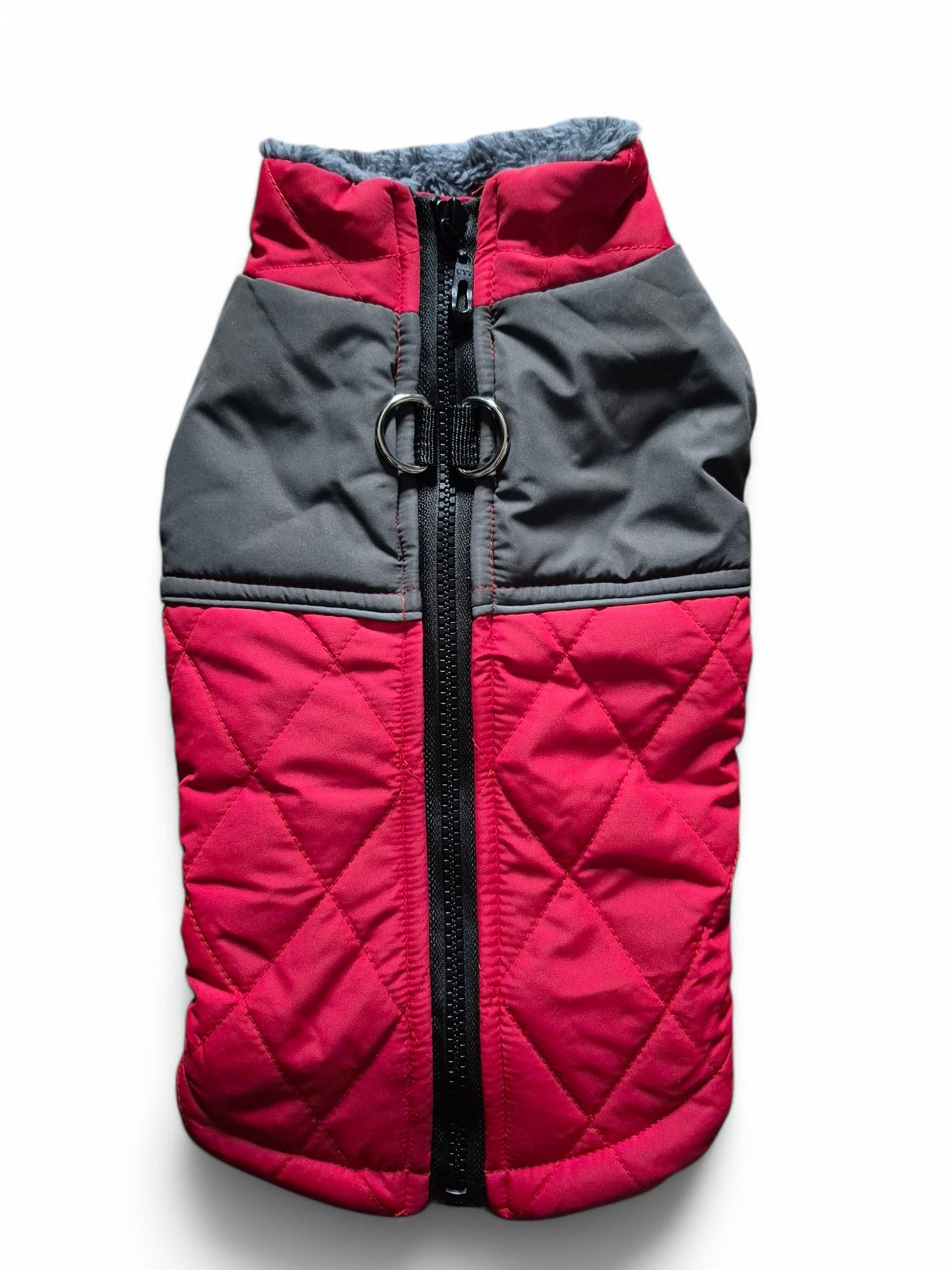 Teckel winterjassen