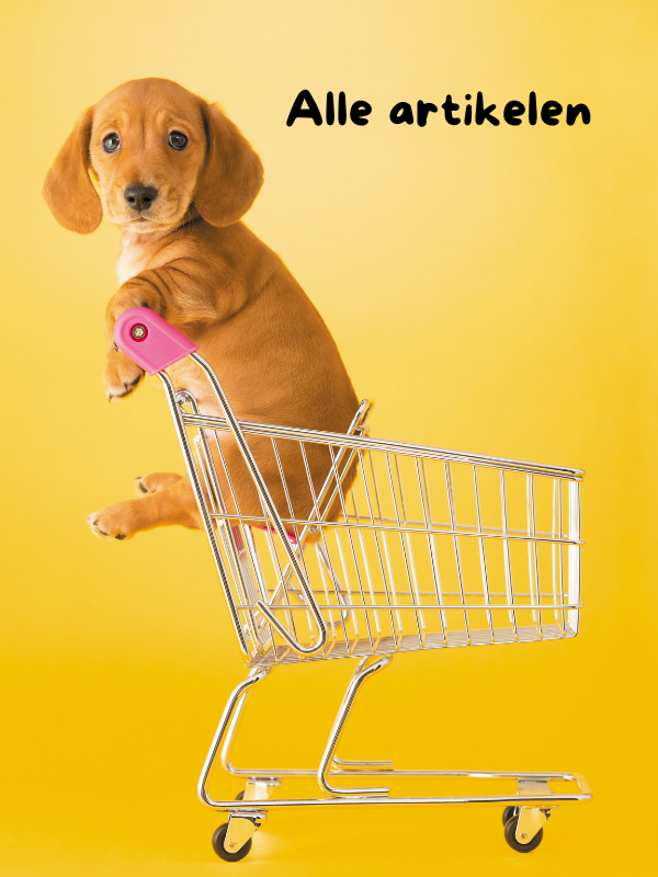 Alle artikelen