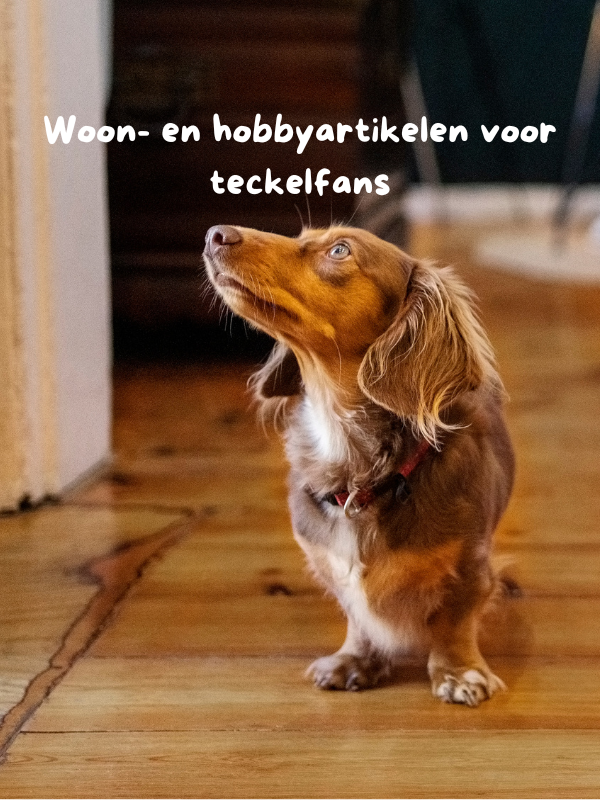 Alle woon- en hobbyartikelen