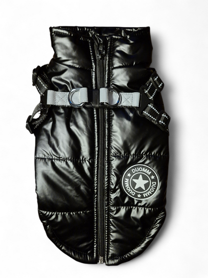 Glanzende hondenjas voor teckels die niet "aan hun formaat voldoen"