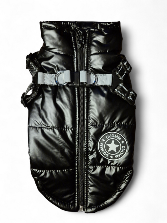 Glanzende hondenjas voor teckels die niet "aan hun formaat voldoen"