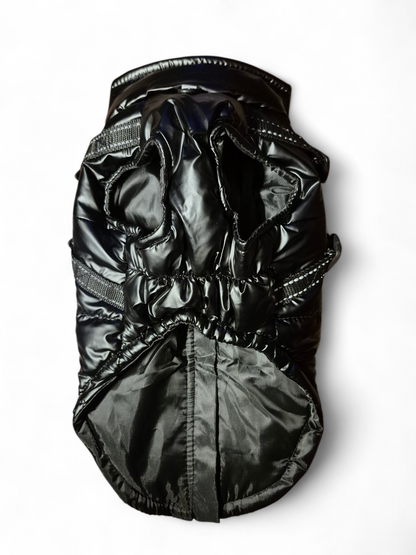 Glanzende hondenjas voor teckels die niet "aan hun formaat voldoen"