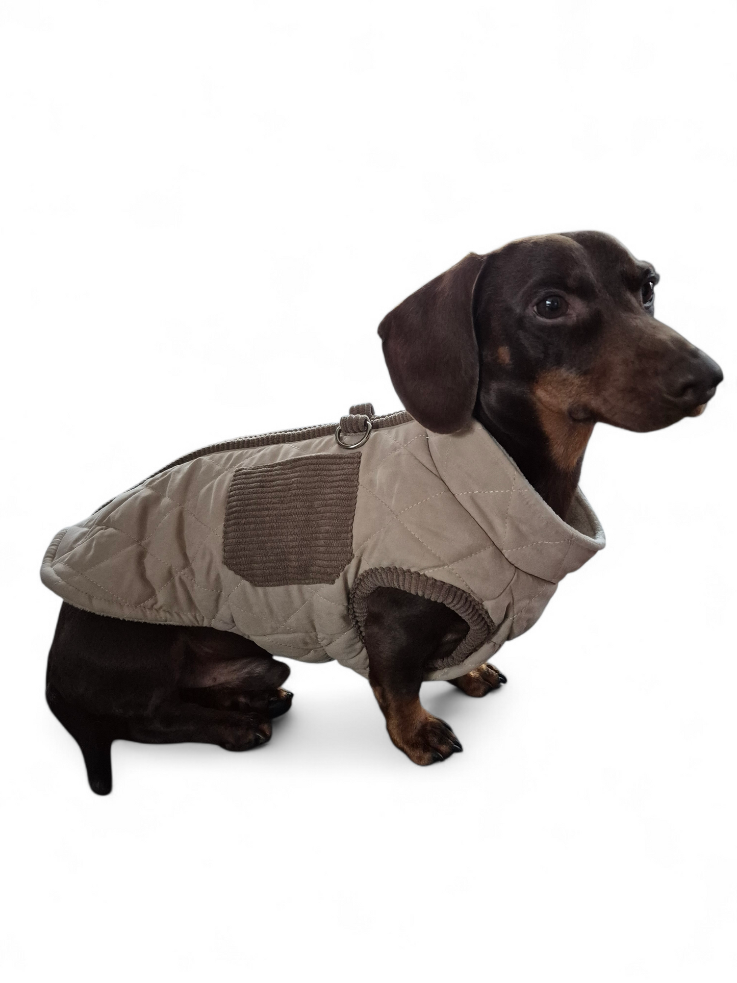 Beige hondenjas met zakjes