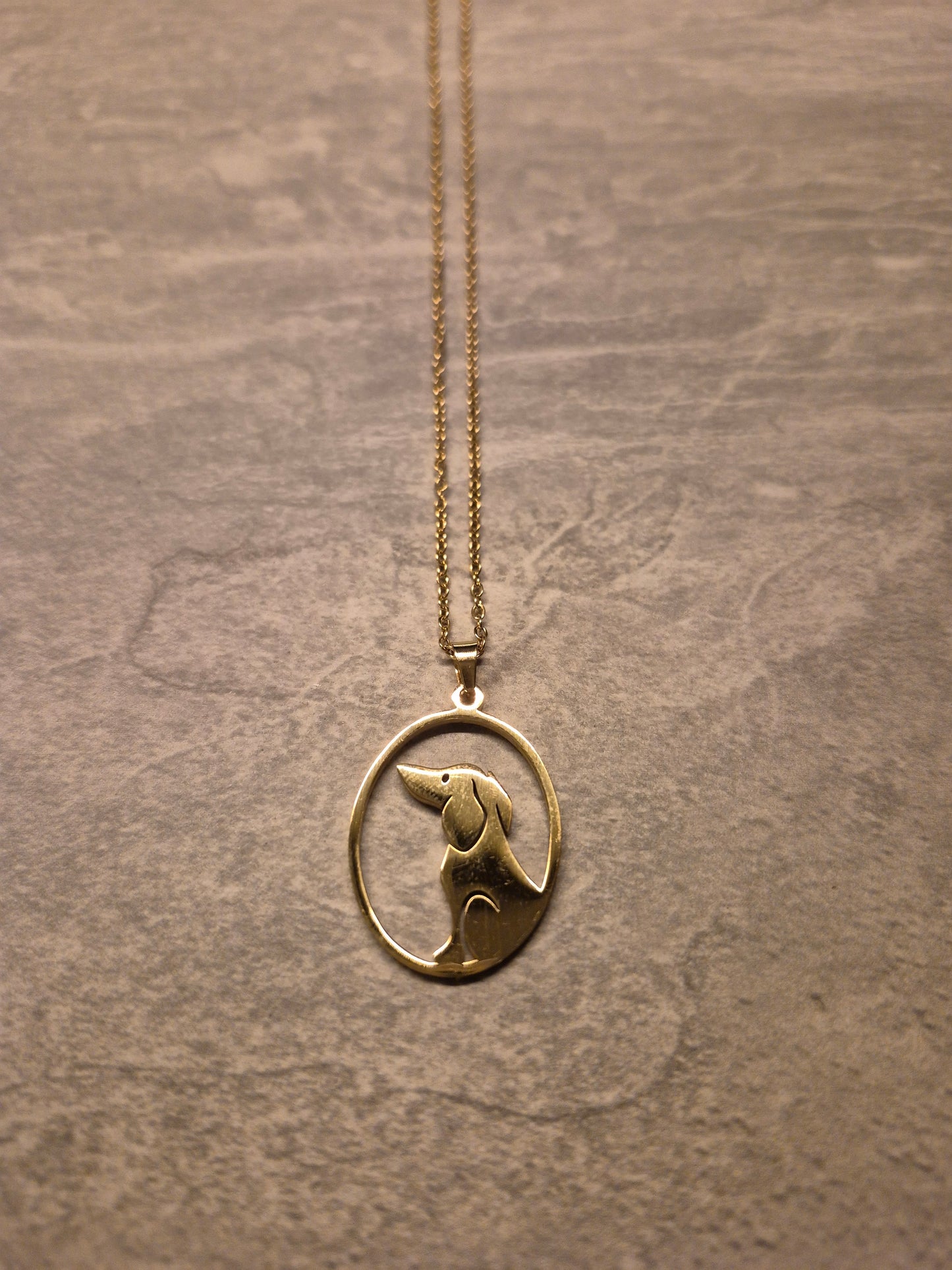 Mooie rvs teckel ketting