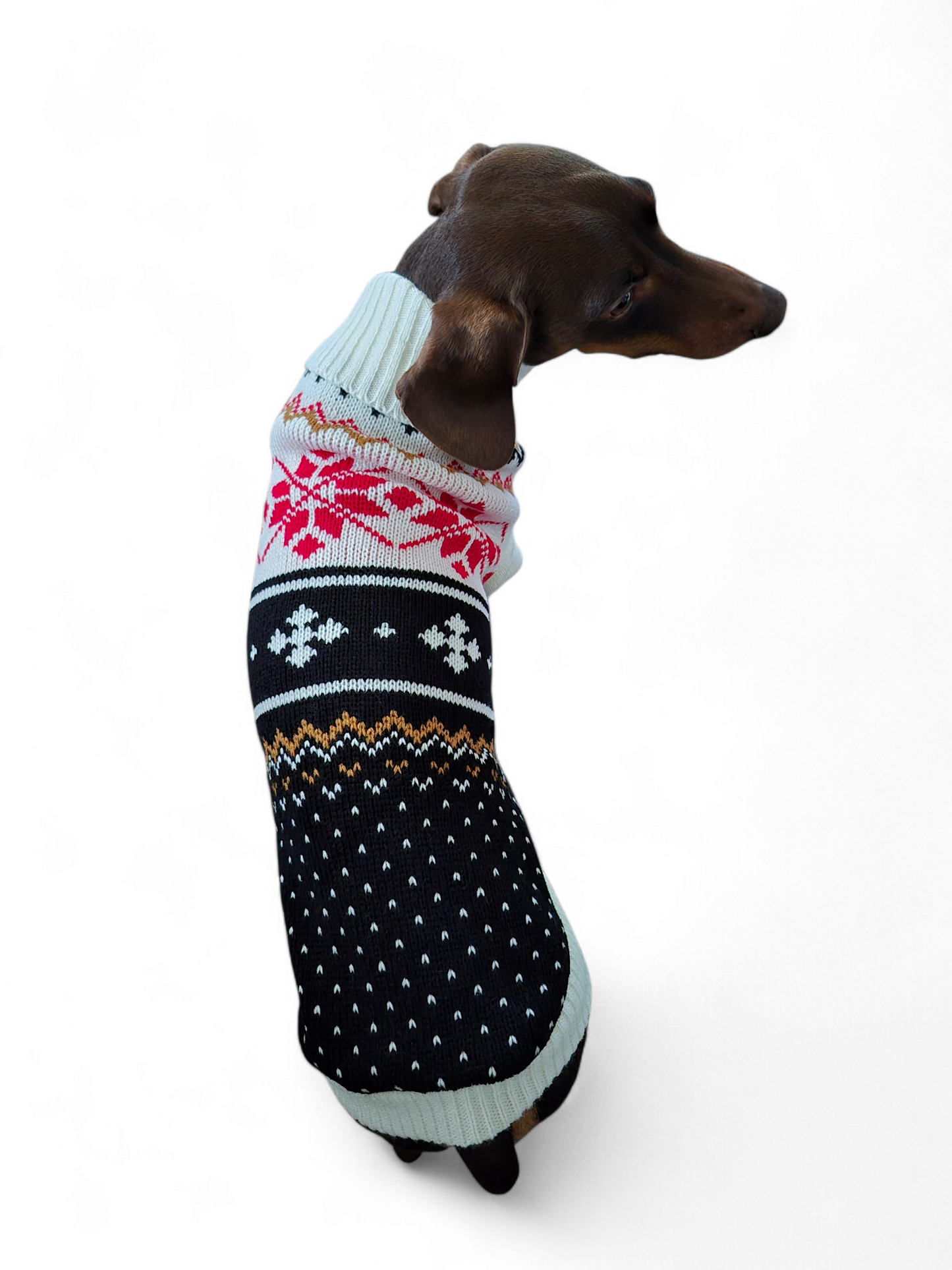 Gebreide trui voor de slanke teckel