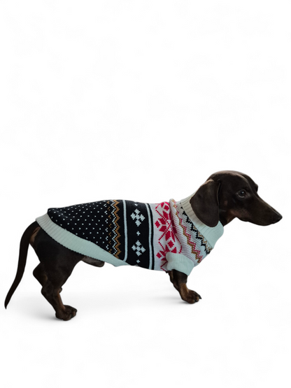 Gebreide trui voor de slanke teckel