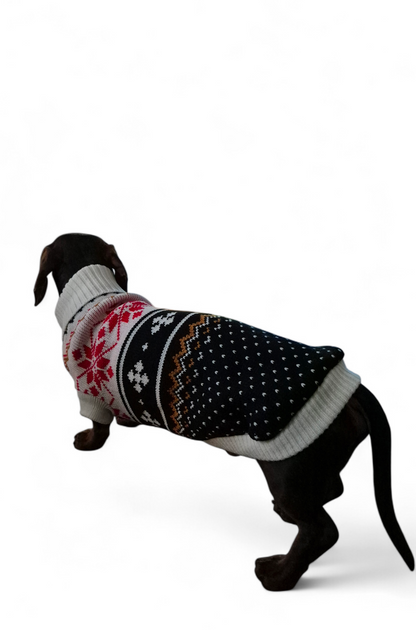 Gebreide trui voor de slanke teckel