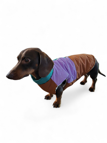 Color blocking hondenjasje