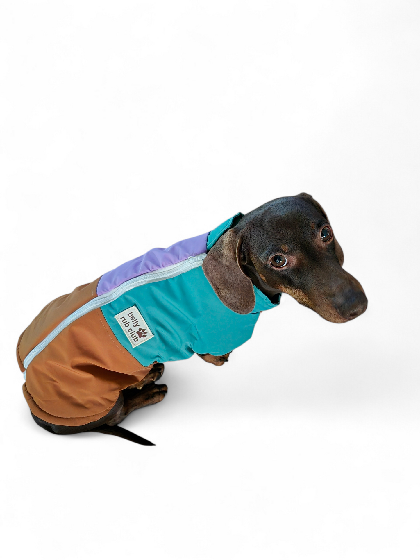 Color blocking hondenjasje