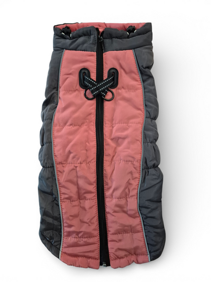 Mooie hondenjas voor slanke teckels