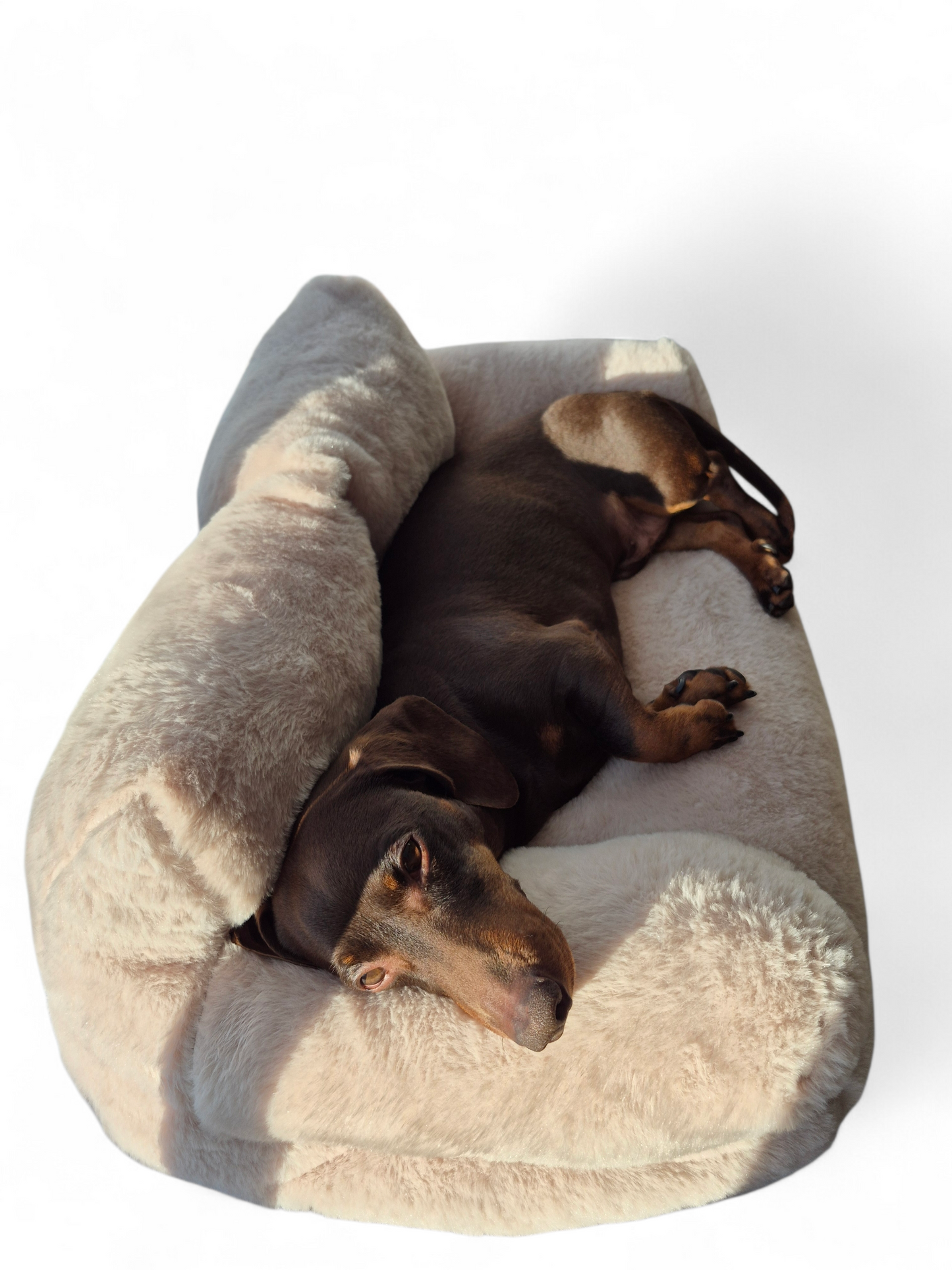 Heerlijk zachte sofa voor je teckel