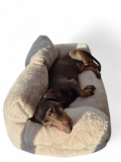 Heerlijk zachte sofa voor je teckel