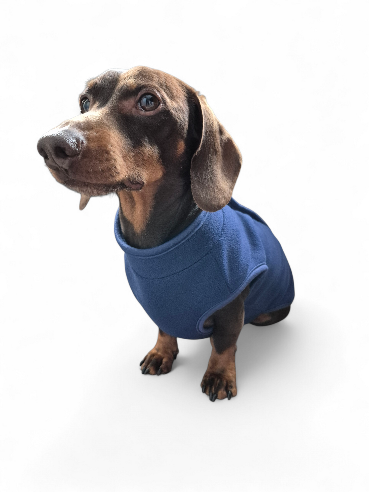 Fleecetrui met knoopjes voor je teckel