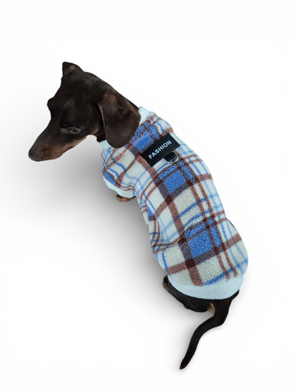 Teddy trui voor de vollere teckel