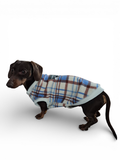 Teddy trui voor de vollere teckel