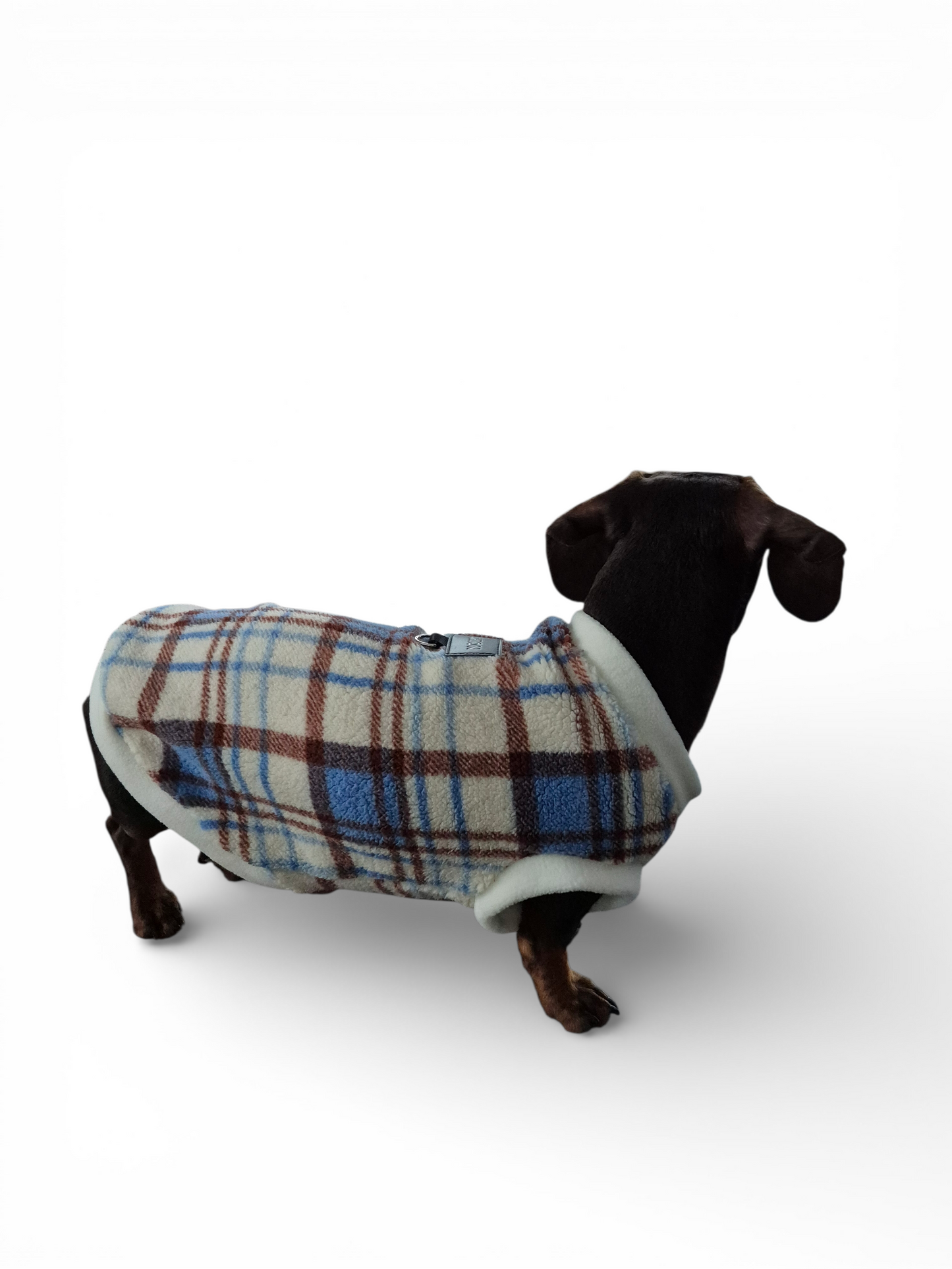 Teddy trui voor de vollere teckel