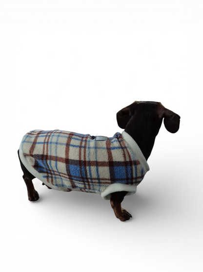 Teddy trui voor de vollere teckel