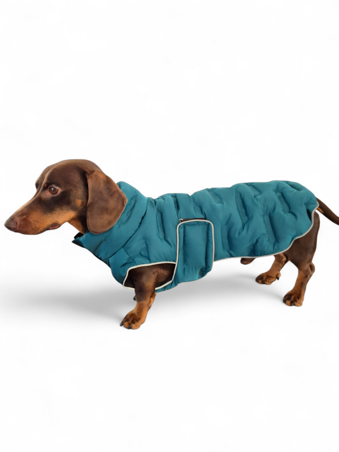 Gevoerde petrol hondenjas met klittenband