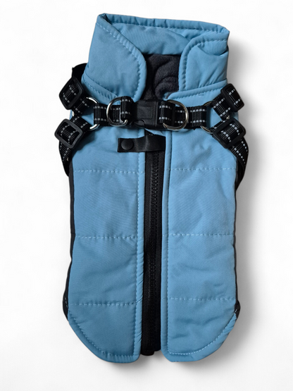 Stijlvolle winterjas voor je puppy