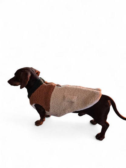 Teddy jack voor je teckel