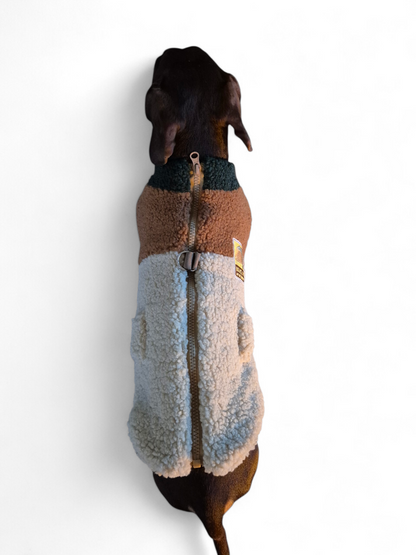 Teddy jack voor je teckel