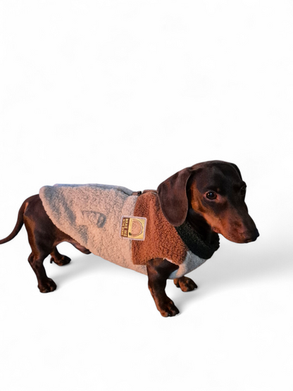 Teddy jack voor je teckel