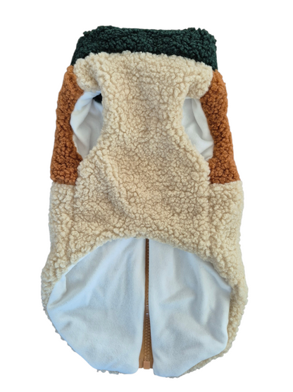 Teddy jack voor je teckel