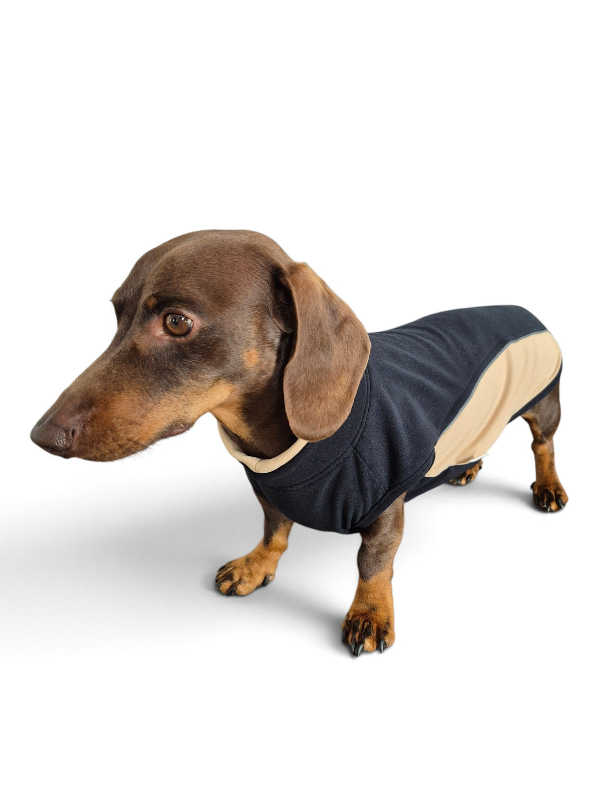 Zachte teckel sweater