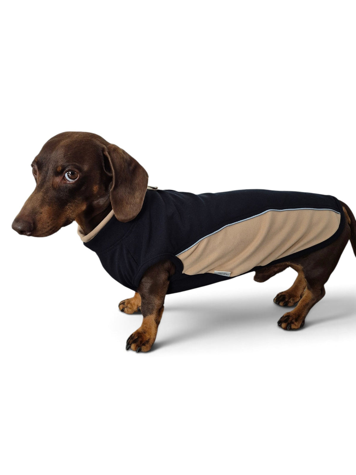 Zachte teckel sweater