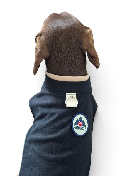 Zachte teckel sweater